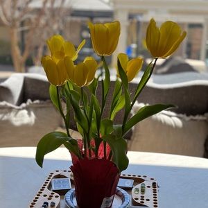 Meet your Posher, Chérie